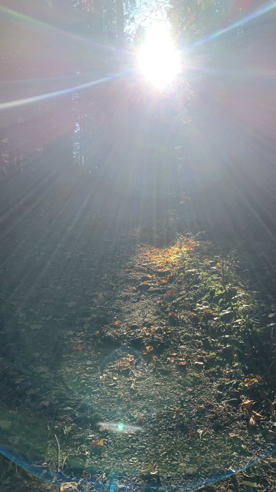  Atelier für Kinesiologie | Heike Holenweger